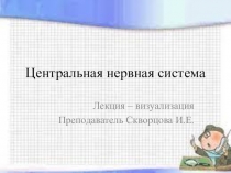 Центральная нервная система