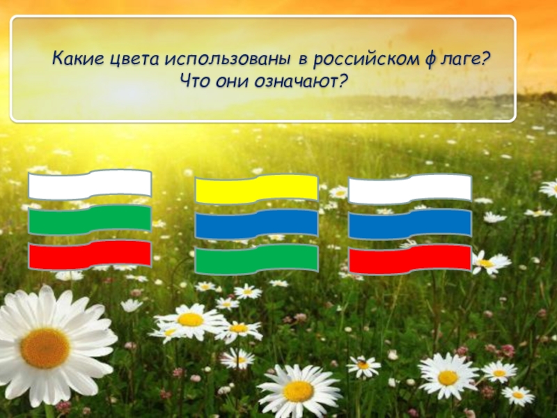 Какого цвета российский флаг. Флаг России. Флаг России цвета. Каких цветов российский флаг. Использование цветов флага.