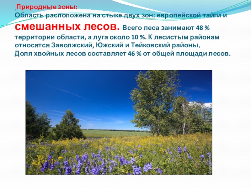 Вологодская область находится в природной зоне. Киев природная зона. Природные области. Природные зоны Курской области. Природная зона Луга.