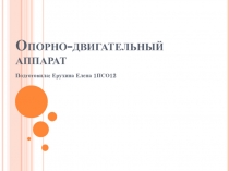 Опорно-двигательный аппарат