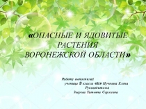 ОПАСНЫЕ И ЯДОВИТЫЕ РАСТЕНИЯ ВОРОНЕЖСКОЙ ОБЛАСТИ 
Работу выполнила:
ученица 3