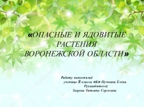 ОПАСНЫЕ И ЯДОВИТЫЕ РАСТЕНИЯ ВОРОНЕЖСКОЙ ОБЛАСТИ 
Работу выполнила:
ученица 3