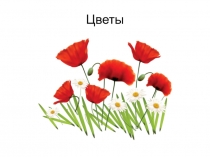 Цветы