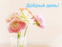 Добрый день!