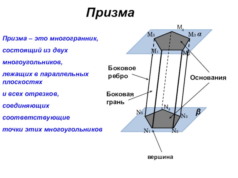 Основание грани. Призма. Основание Призмы. Боковые грани Призмы. Боковое ребро Призмы.