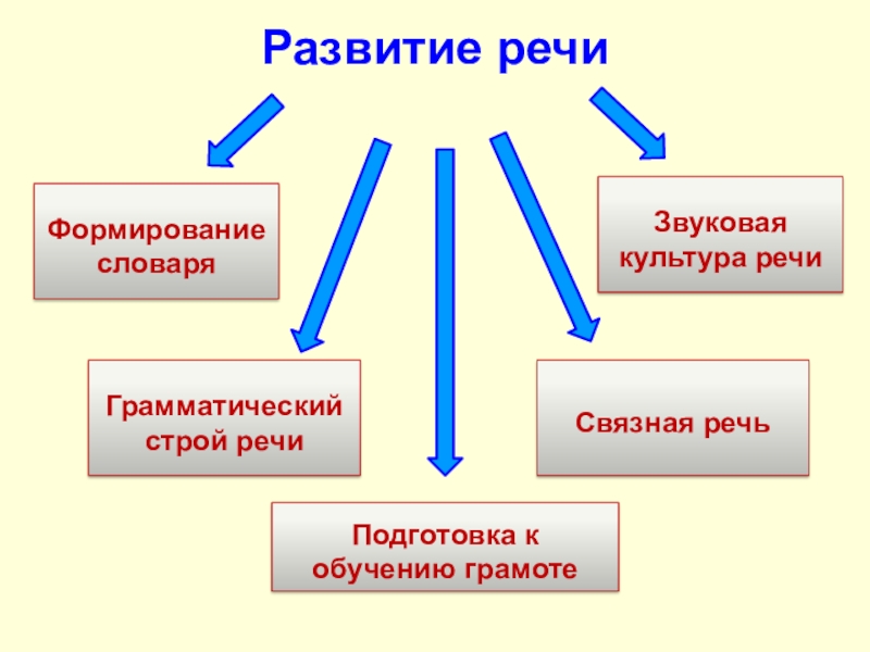 Звуковая культура. Развитие словаря. Формирование словаря. Звуковая культура речи. Формирование словаря и грамматического строя речи:.