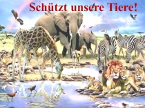 Schützt unsere Tiere !