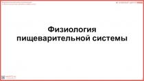 Физиология пищеварительной системы