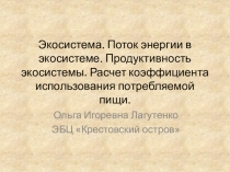 Экосистема. Поток энергии в экосистеме. Продуктивность экосистемы. Расчет