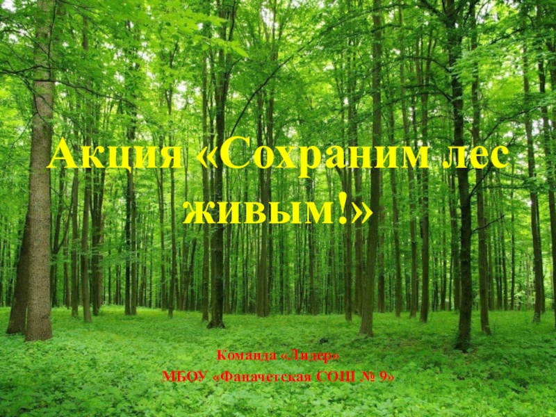 Презентация Акция Сохраним лес живым!
Команда Лидер
МБОУ Фаначетская СОШ № 9