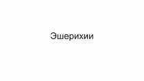 Эшерихии