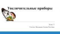 Увеличительные приборы