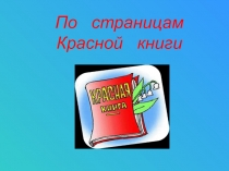 По страницам
Красной книги
