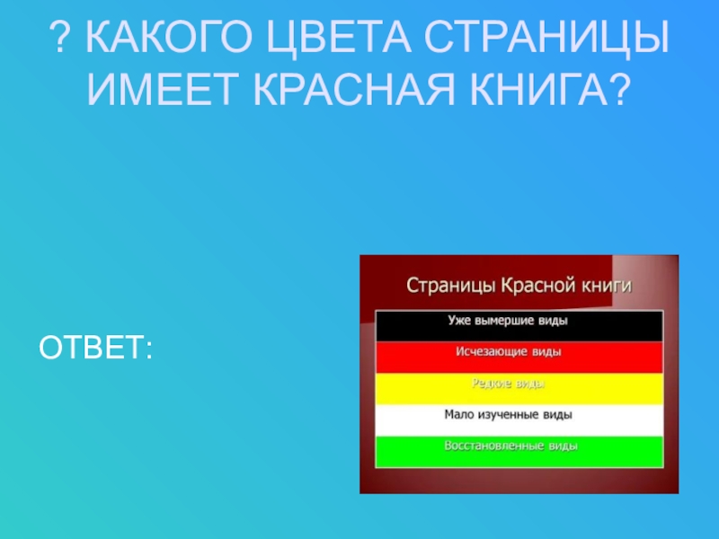 Цвет страниц. Какие цвета в красной книге. Какого цвета?. Красная книга по цветам. Страницы какого цвета имеет красная книга.