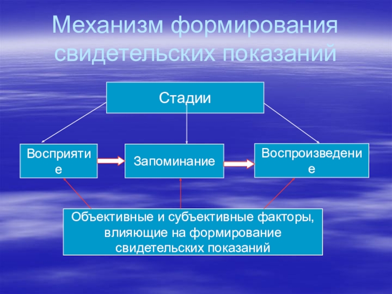 Основные этапы восприятия объекта перед изображением