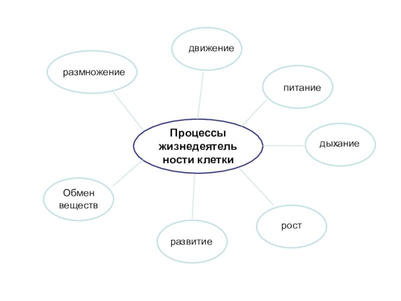 Процессы жизнедеятельности. Кластер на тему судопроизводство. Составить кластер