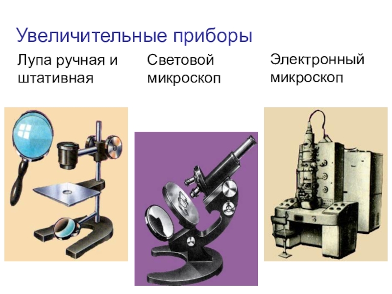 Вероника на уроке изучал устройство штативной лупы и делала соответствующие подписи к рисунку какую