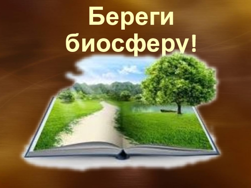 Презентация 6 класс география биосфера сфера жизни. Берегите биосферу. Биосфера сфера жизни презентация 6 класс. Биосфера 6 класс. Сохраним биосферу.