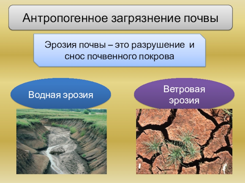 Антропогенное изменение почвы презентация