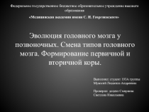 Федеральное государственное бюджетное образовательное учреждение высшего