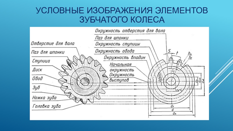 Зубчатое колесо схема