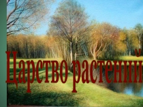 Царство растений