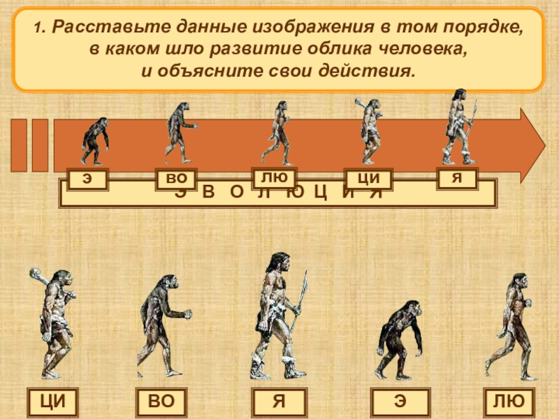 Презентация Э
ВО
ЛЮ
ЦИ
Я
1. Расставьте данные изображения в том порядке, в каком шло