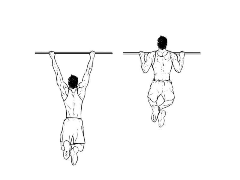 Презентация Подтягивание на перекладине