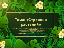 Тема: Строение растений