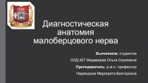 Диагностическая анатомия малоберцового нерва