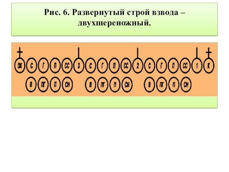 Рисуй строй. Развернутый Строй отделения - двухшереножный. Развернутый Строй взвода одношереножный. Развернутый двухшереножный Строй взвода. Походный Строй взвода.