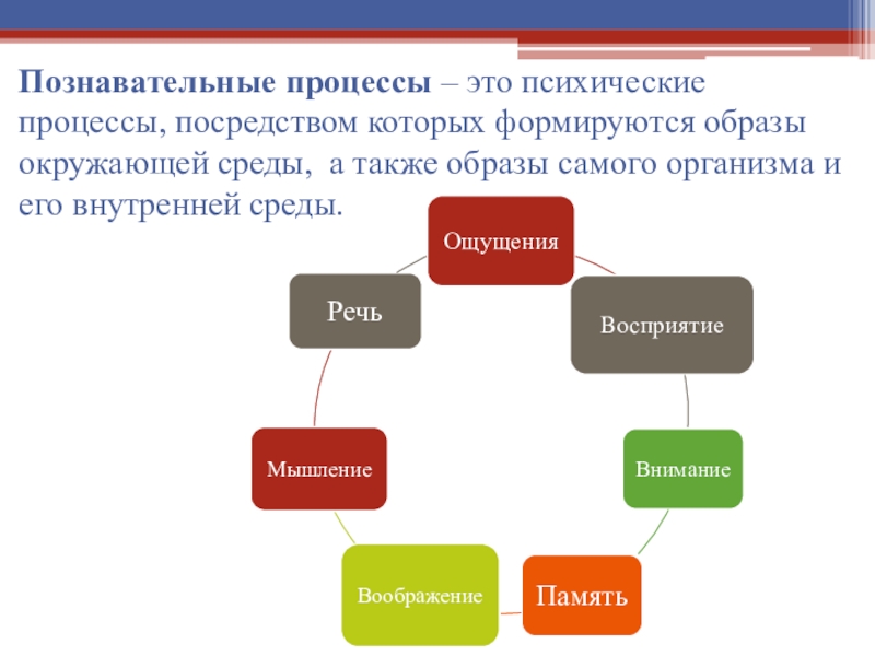 Скорость психических процессов. Внимание это психический познавательный процесс. Внимание как психический познавательный процесс. Внимание как когнитивный процесс. Ощущение как познавательный процесс.