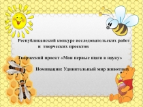 Республиканский конкурс исследовательских работ и творческих проектов