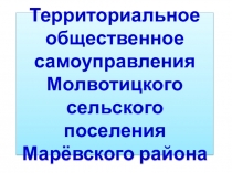 Территориальное общественное самоуправления Молвотицкого сельского поселения