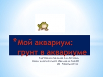 Мой аквариум: грунт в аквариуме
