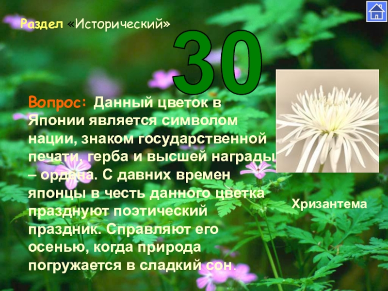 Какой цветок является символом любви в россии