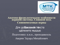 Анатомо-физиологические особенности нервной системы. Спинной мозг