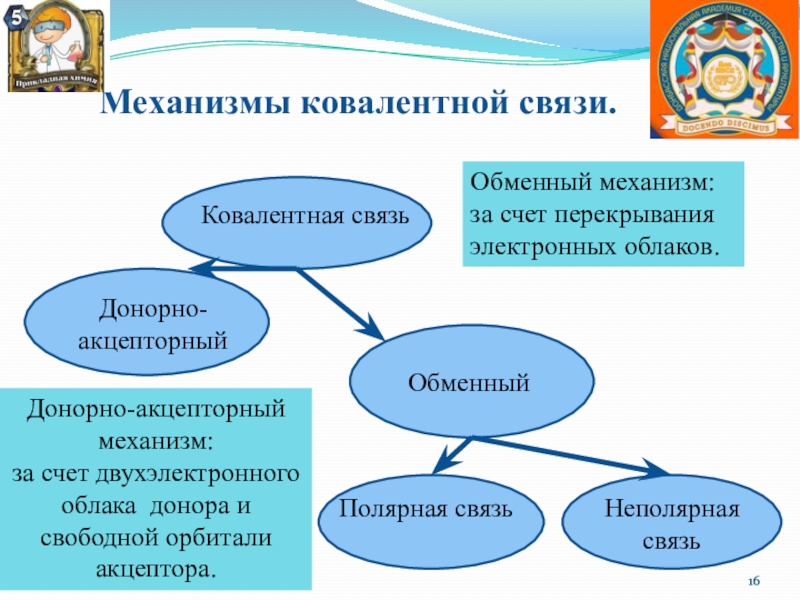 Обмен связи. Характеристика ковалентной полярной связи.