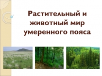 Растительный и животный мир умеренного пояса