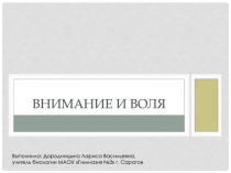 Внимание и воля