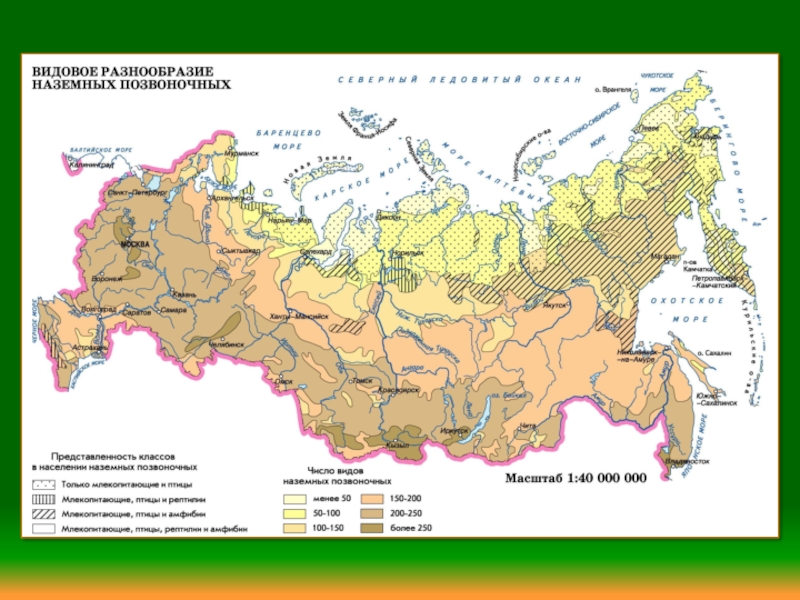 Карта обитания животных в россии