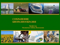 СОХРАНЕНИЕ БИОРАЗНООБРАЗИЯ
Профессор Маловичко Любовь Васильевна