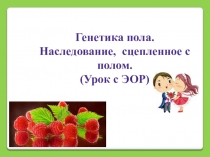 Генетика пола. Наследование, сцепленное с полом.
(Урок с ЭОР)