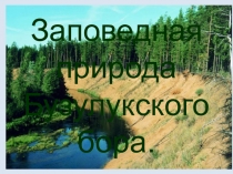 Заповедная природа Бузулукского бора