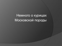 Немного о курицах
Московской породы