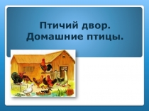 Птичий двор. Домашние птицы