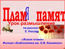 Плам памяти