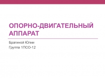 Опорно-двигательный аппарат