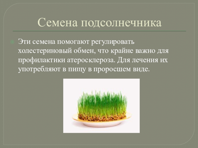Значение семян для растений животных и человека.