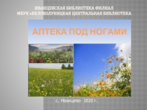 Иванцевская библиотека филиал МБУК Белохолуницкая центральная библиотека